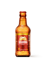 imagem de CERV BRAHMA ONE WAY 300ML